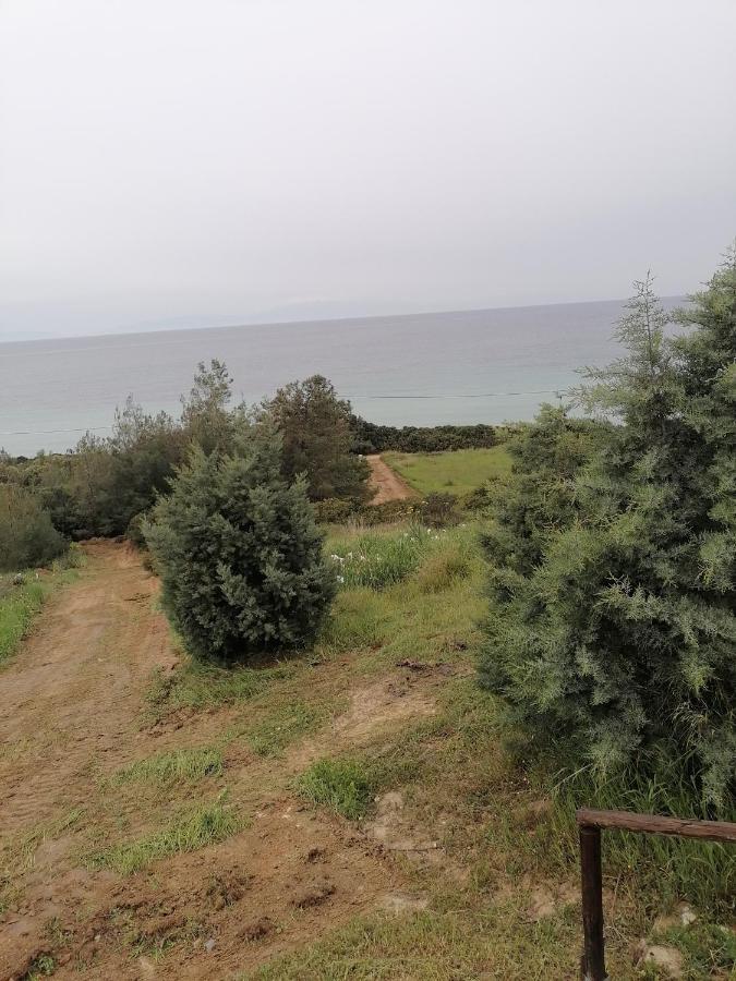 2SEA VILLA Nea Potidea CHALKIDIKI Nea Poteidaia Exterior foto